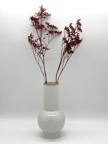 Limonium rot