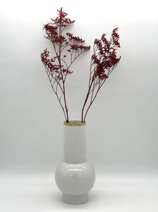 Limonium rot