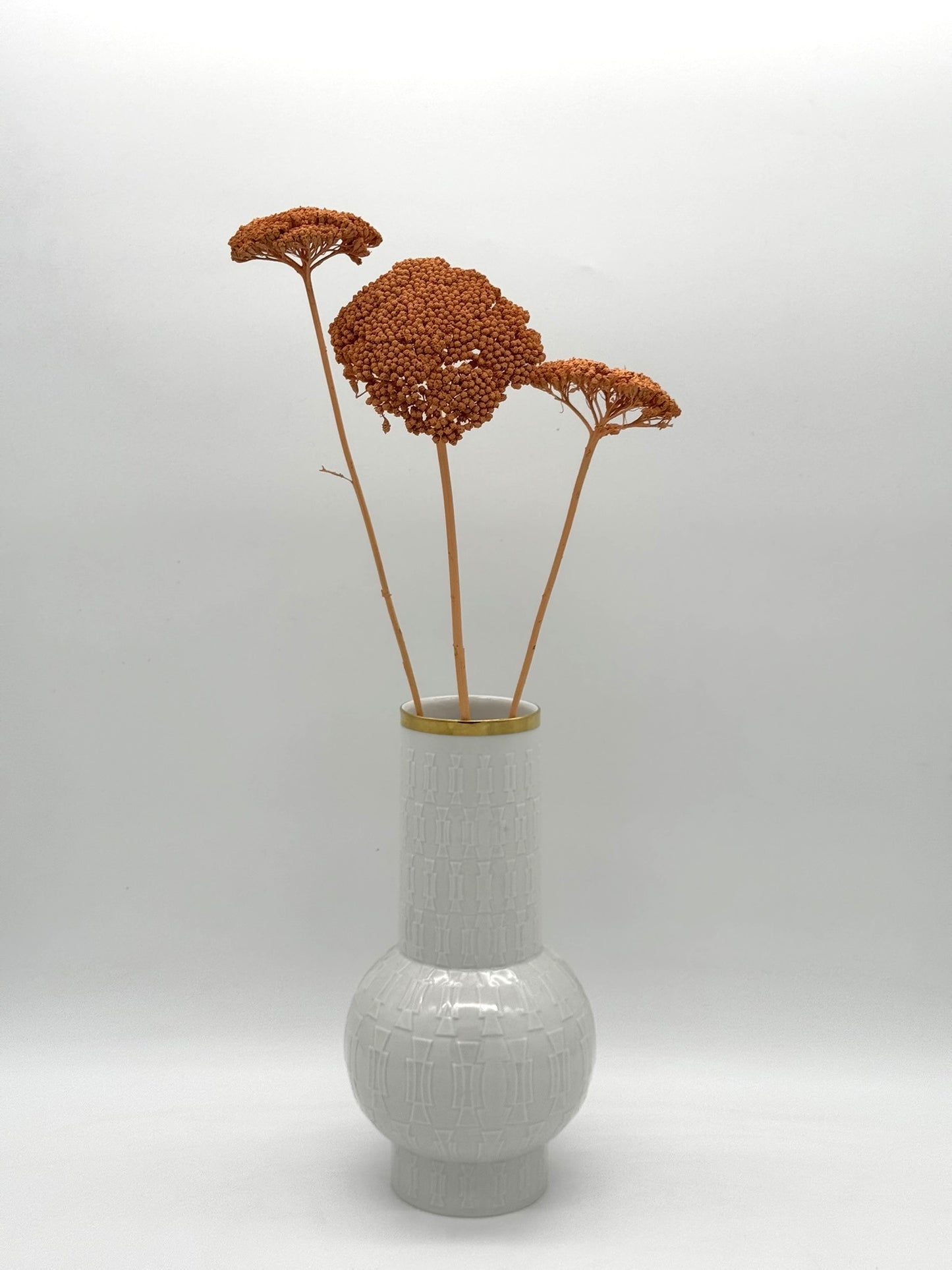 Achillea apricot 3 Stück