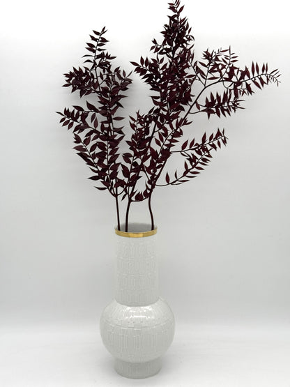 Ruscus weinrot bordeaux