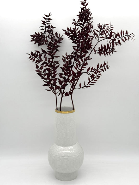 Ruscus weinrot bordeaux