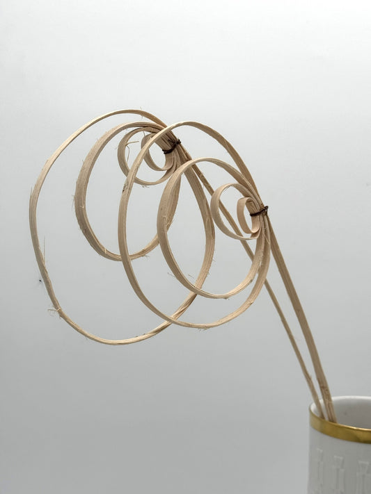 Cane Coil natur 3 Stück