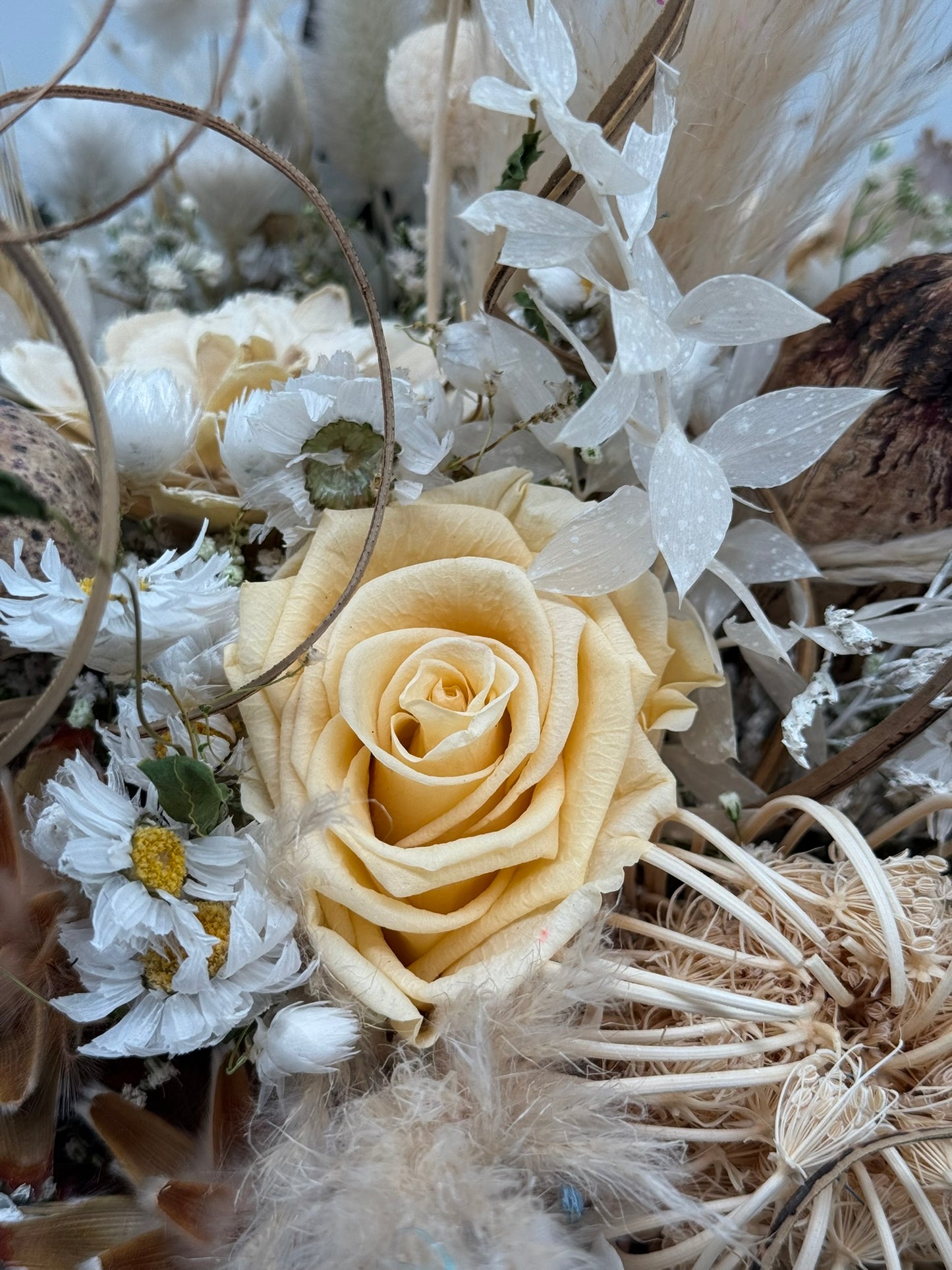 Trockenblumenstrauß beige