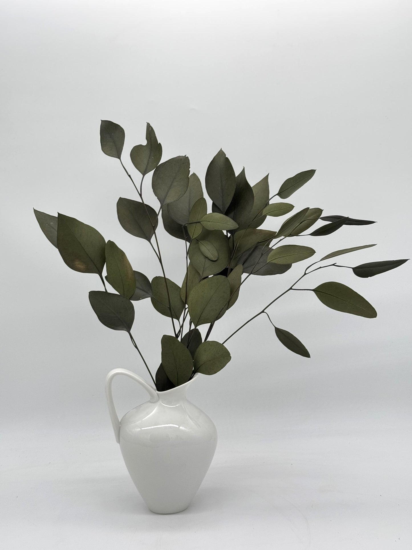 Eukalyptus Stuartiana