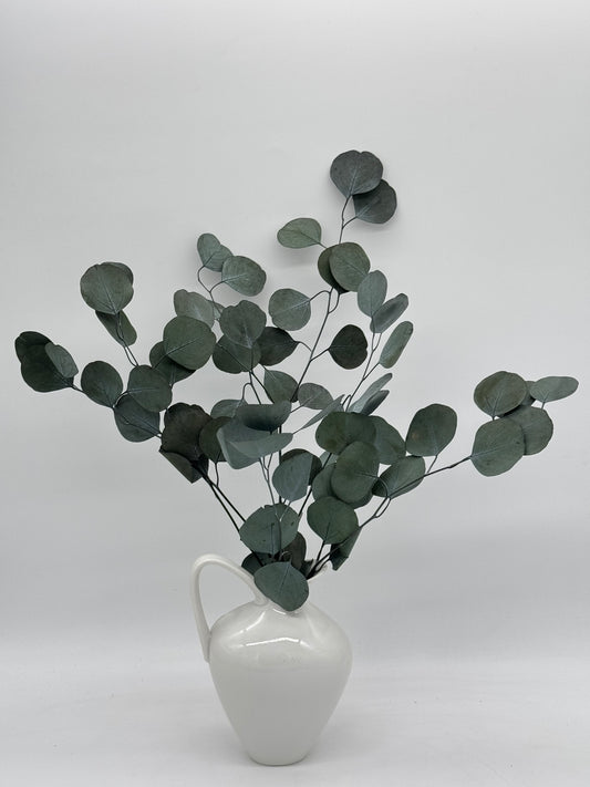 Eukalyptus Populus