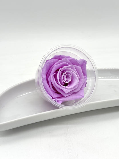 Blüte Infinity Rose lila-flieder