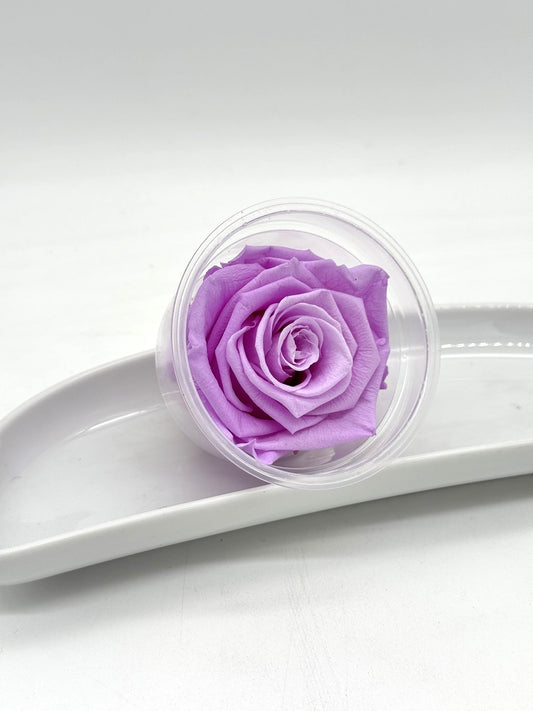 Blüte Infinity Rose lila-flieder