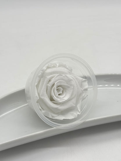 Blüte Infinity Rose weiß