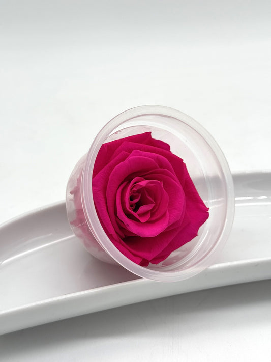 Blüte Infinity Rose pink