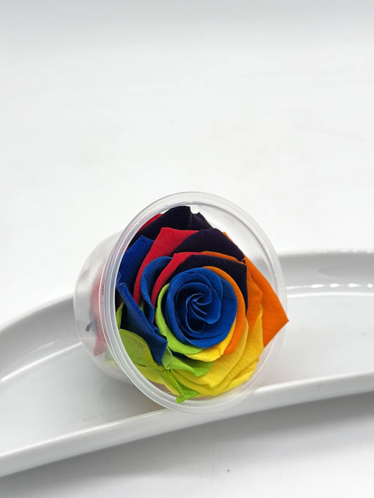 Blüte Infinity Rose Rainbow