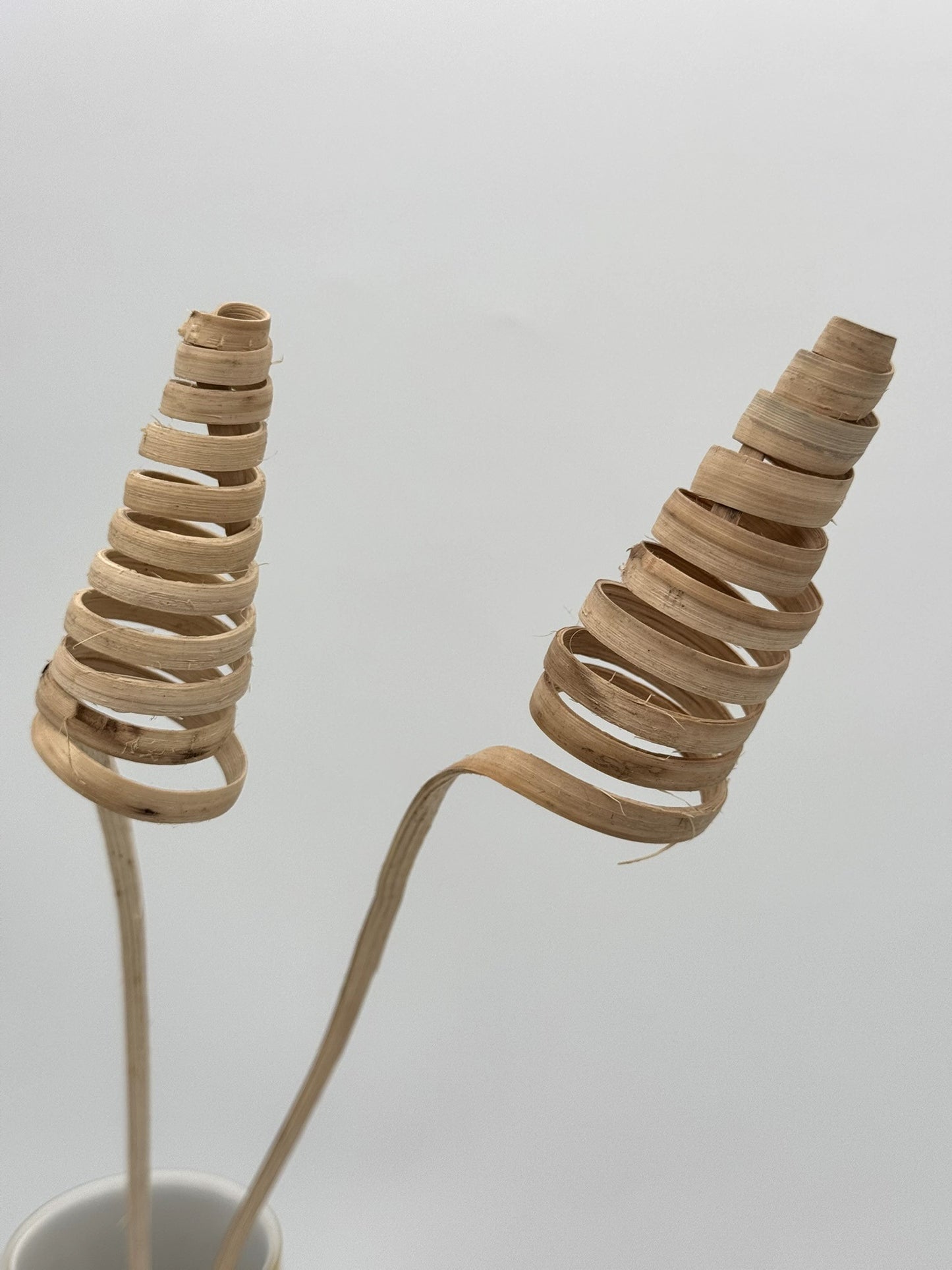 Cane Cone natur 2 Stück