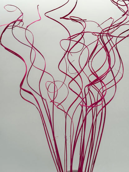 Curly Ting Ting getrocknet pink