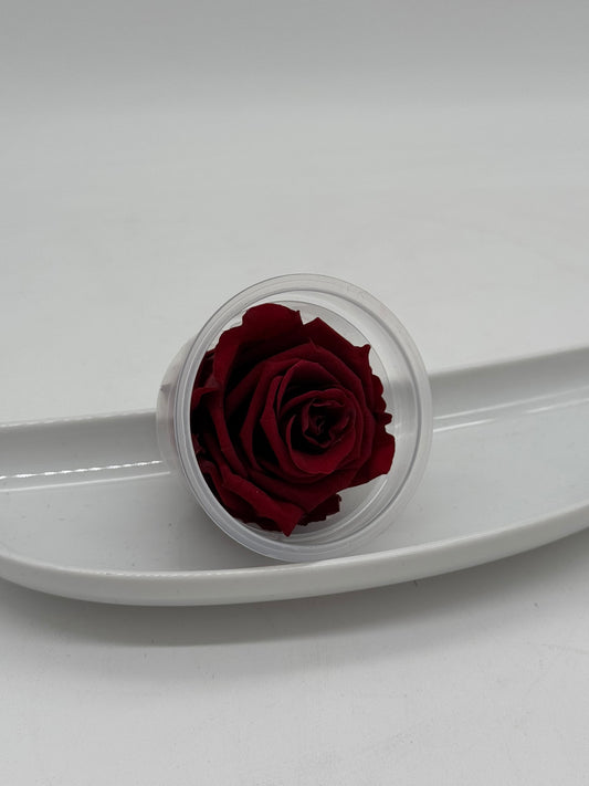 Blüte Infinity Rose dunkelrot 1 Stück
