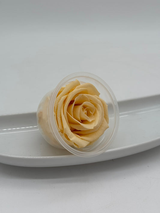 Blüte Infinity Rose champagner 1 Stück