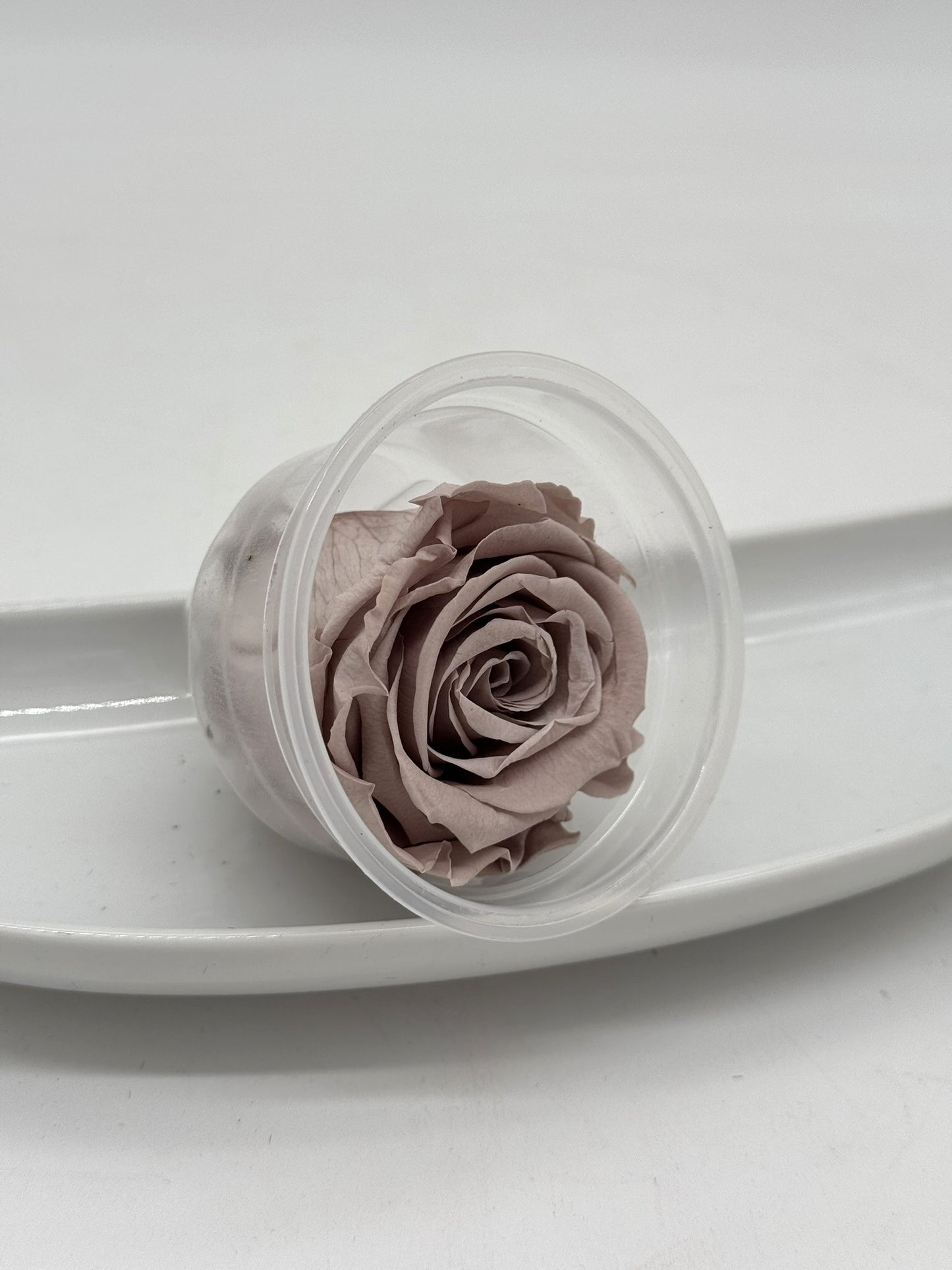 Blüte Infinity Rose taupe 1 Stück
