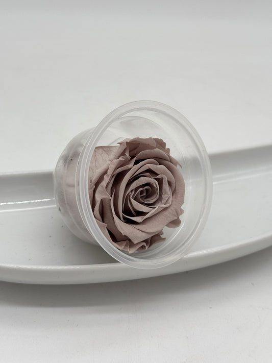 Blüte Infinity Rose taupe 1 Stück