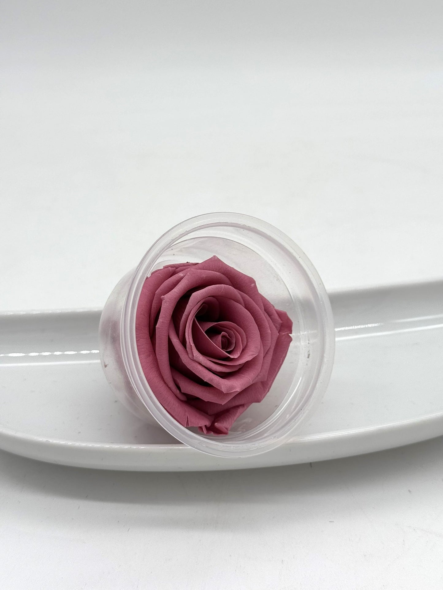 Blüte Infinity Rose beere 1 Stück