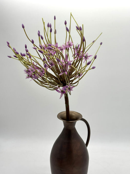 Allium groß lila