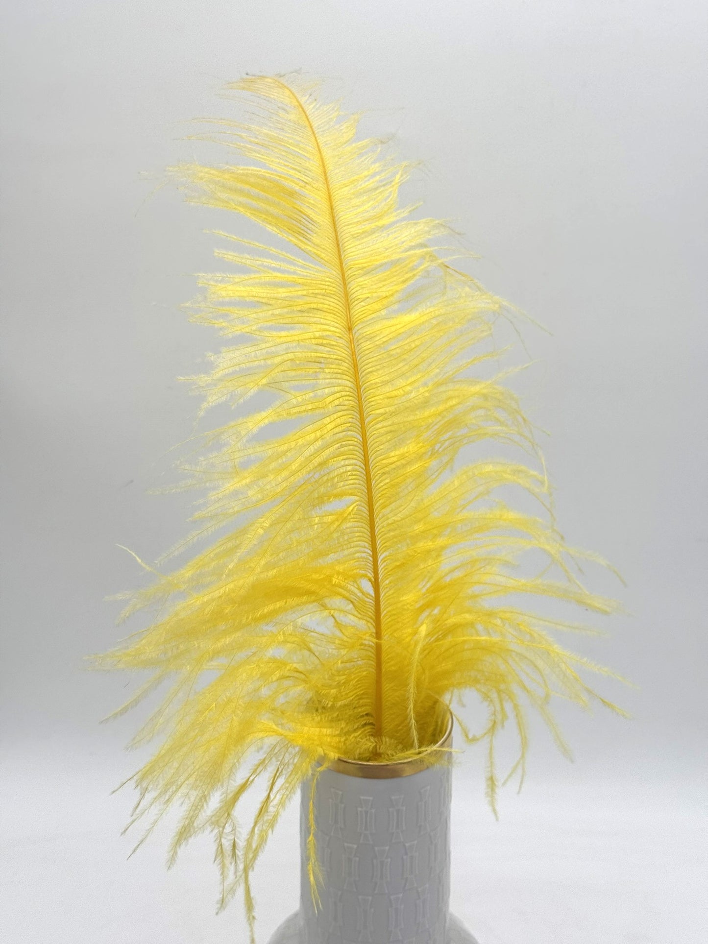 Deko Straußenfedern groß 50 cm 1 Stück