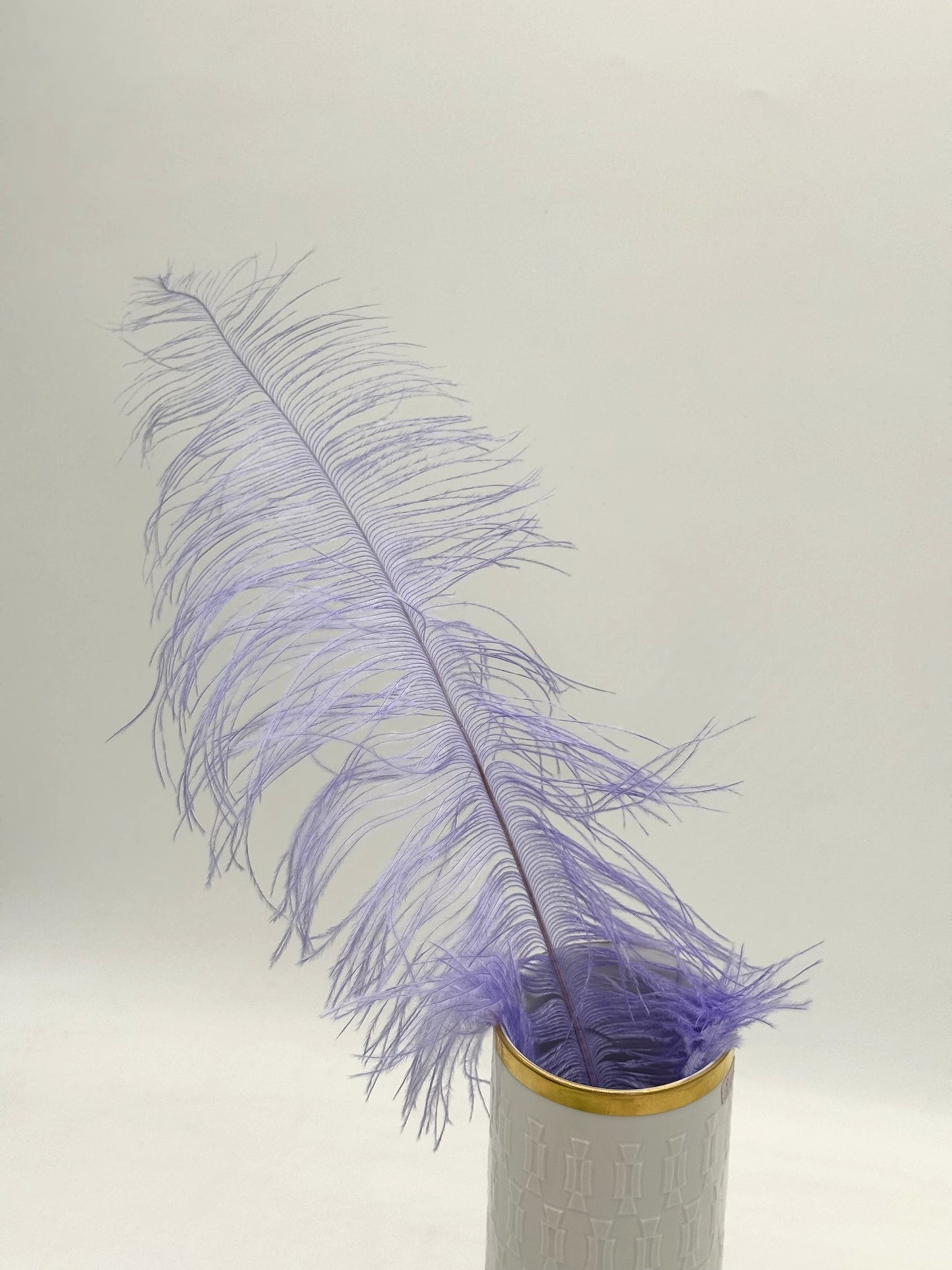 Deko Straußenfedern groß 50 cm 1 Stück