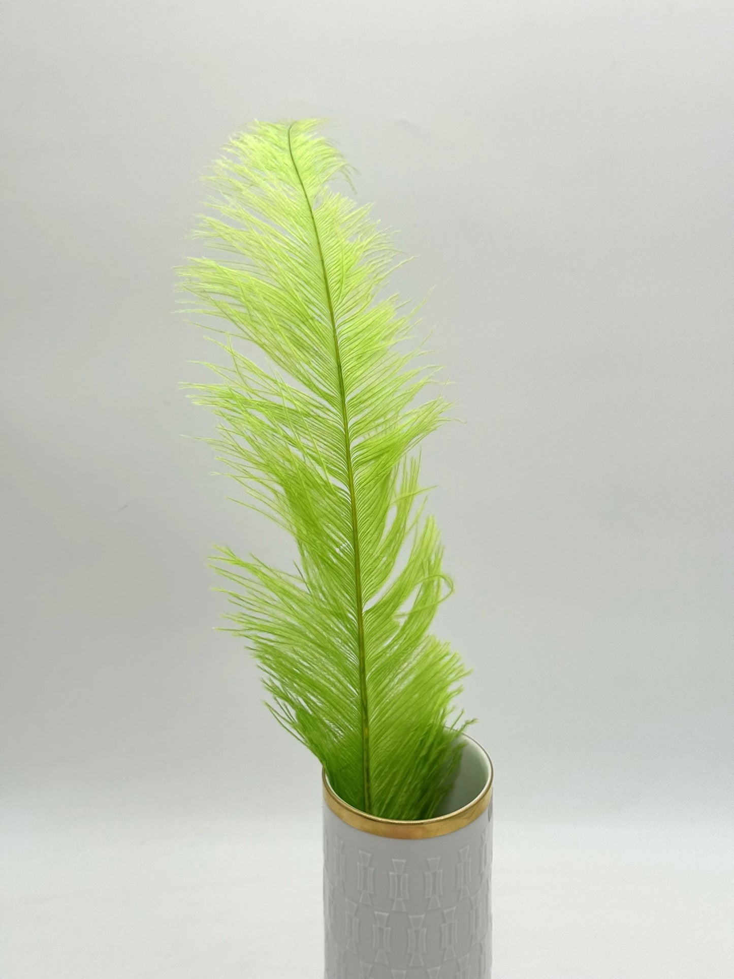 Deko Straußenfedern groß 50 cm 1 Stück