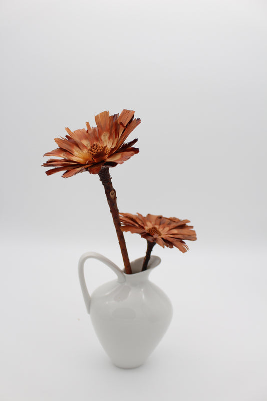 Protea geschnitten orange braun 2 Stück