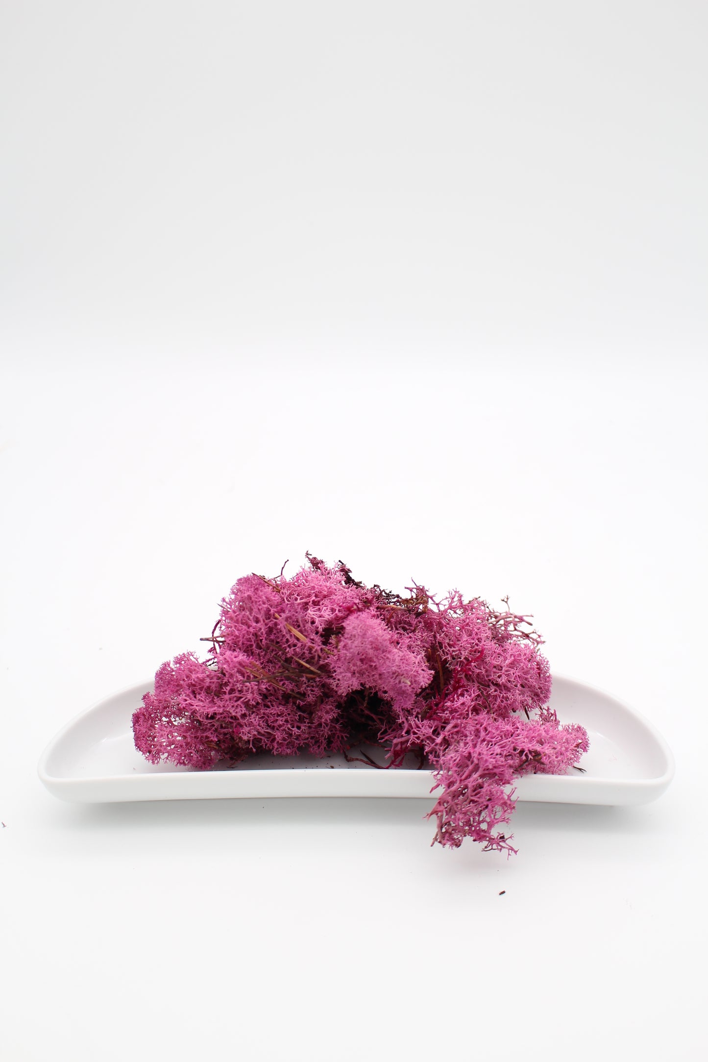 Islandmoos pink 20 Gramm