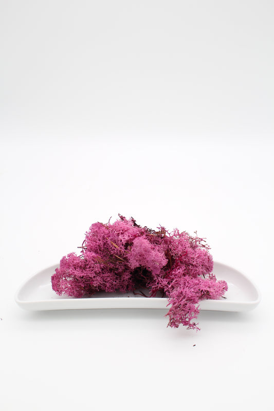Islandmoos pink 20 Gramm