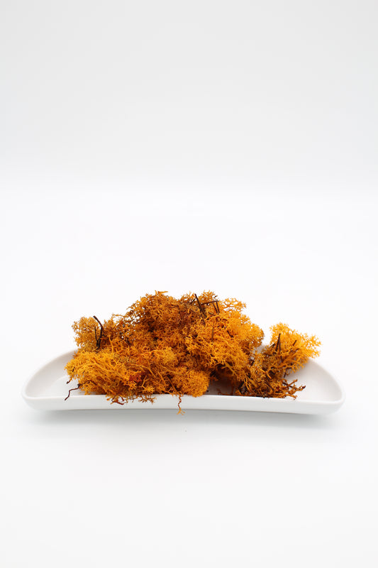 Islandmoos orange 20 Gramm