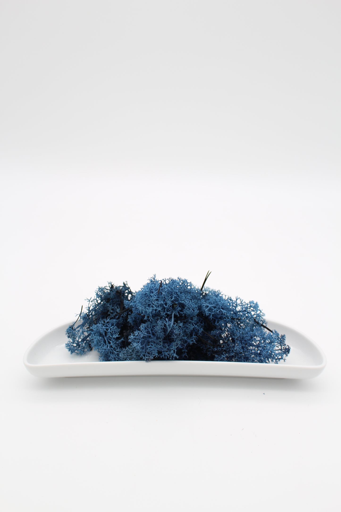 Islandmoos blau 20 Gramm