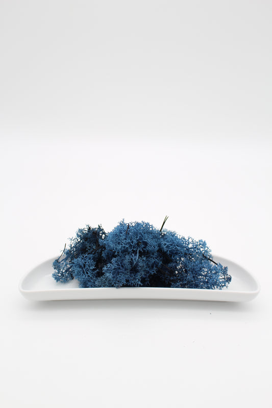 Islandmoos blau 20 Gramm
