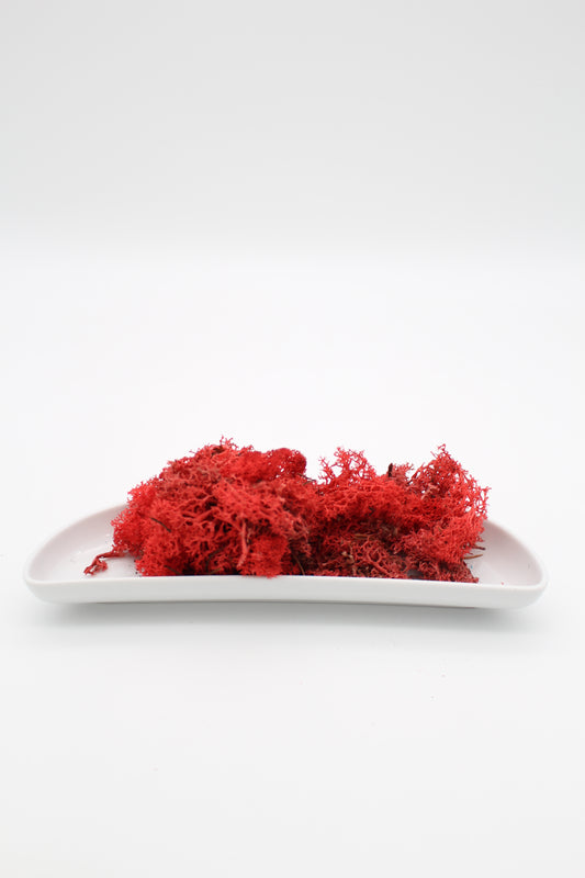 Islandmoos rot 20 Gramm