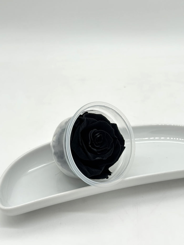 Blüte Infinity Rose schwarz luxurious 1 Stück