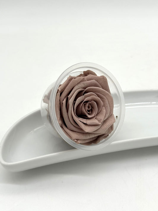 Blüte Infinity Rose latte 1 Stück