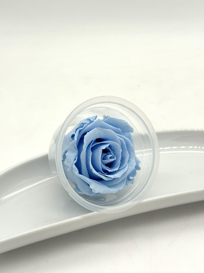 Blüte Infinity Rose hellblau light blue 1 Stück