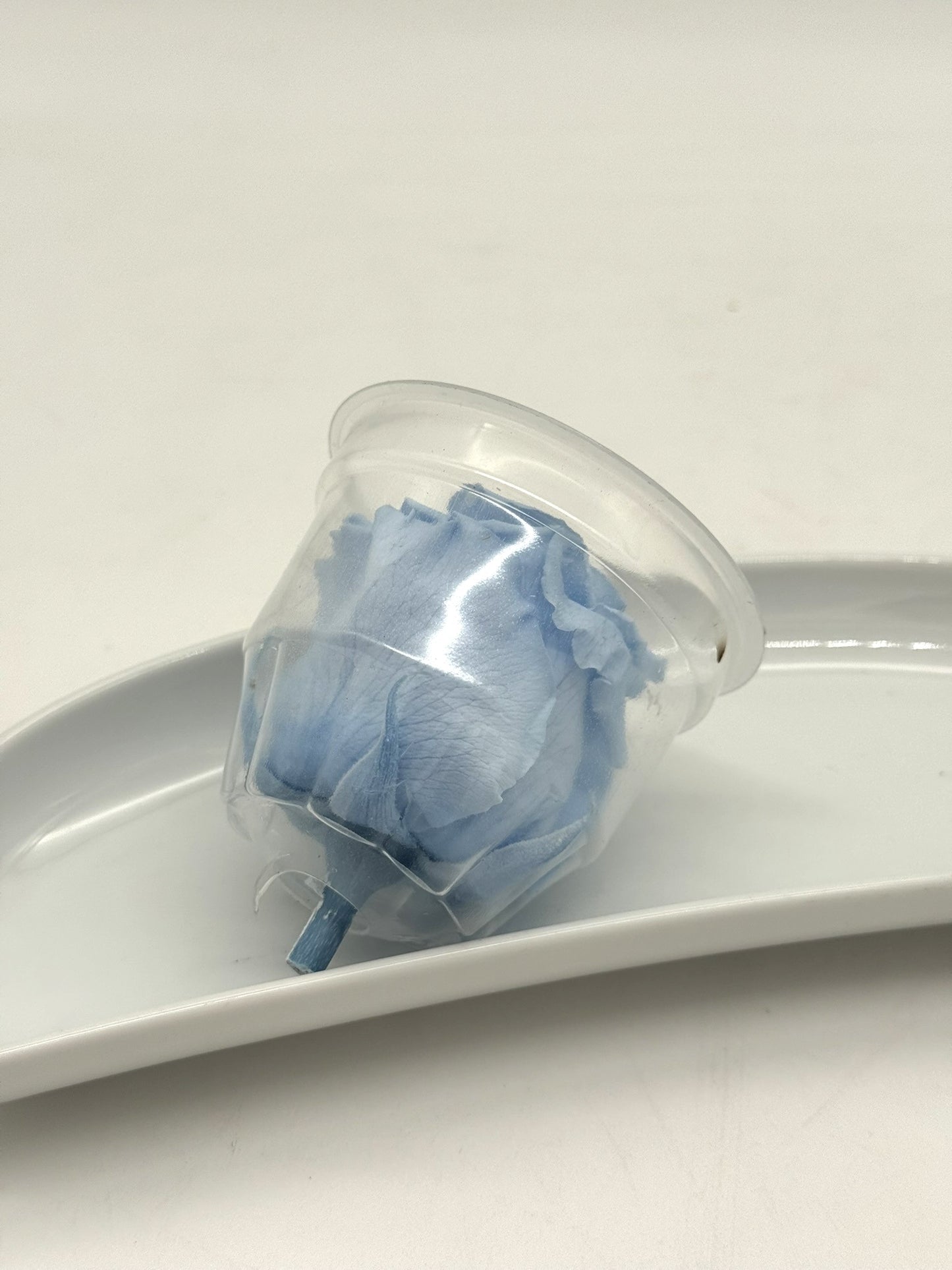 Blüte Infinity Rose hellblau 1 Stück