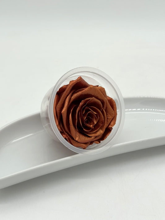 Blüte Infinity Rose kupfer 1 Stück