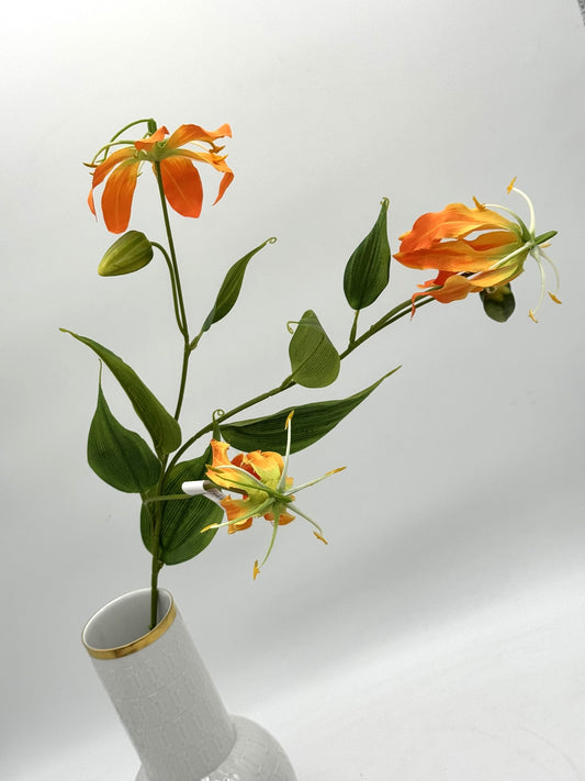 Gloriosa orange 80 cm 1 Stück