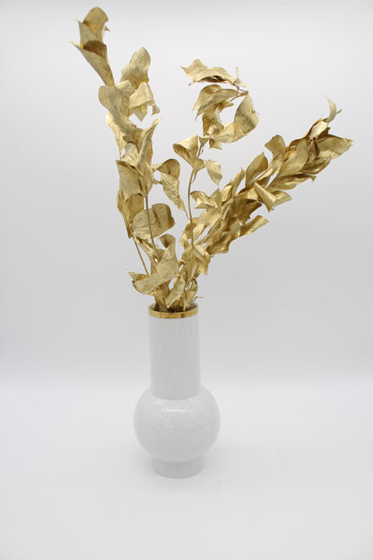 Ruscus großblättrig gold