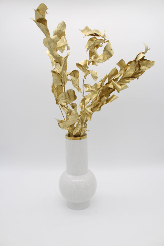 Ruscus großblättrig gold