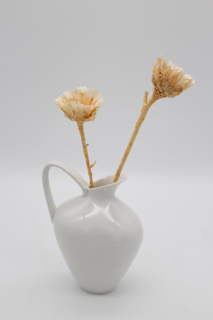 Protea geschnitten klein Natur