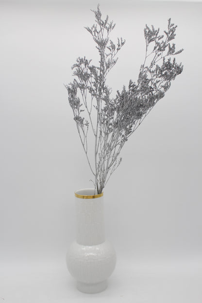 Limonium silber