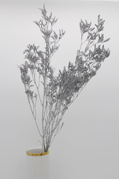 Limonium silber