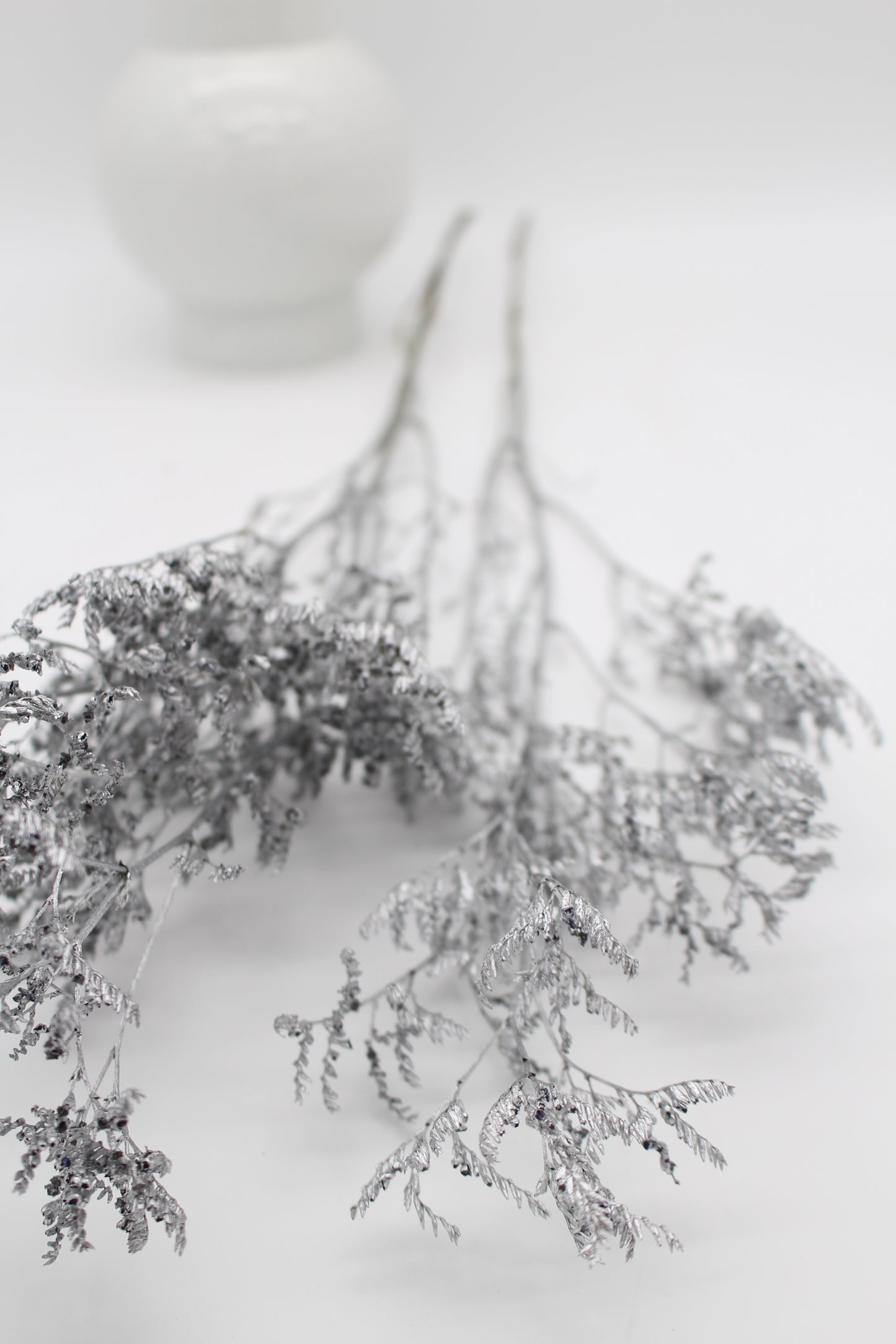 Limonium silber