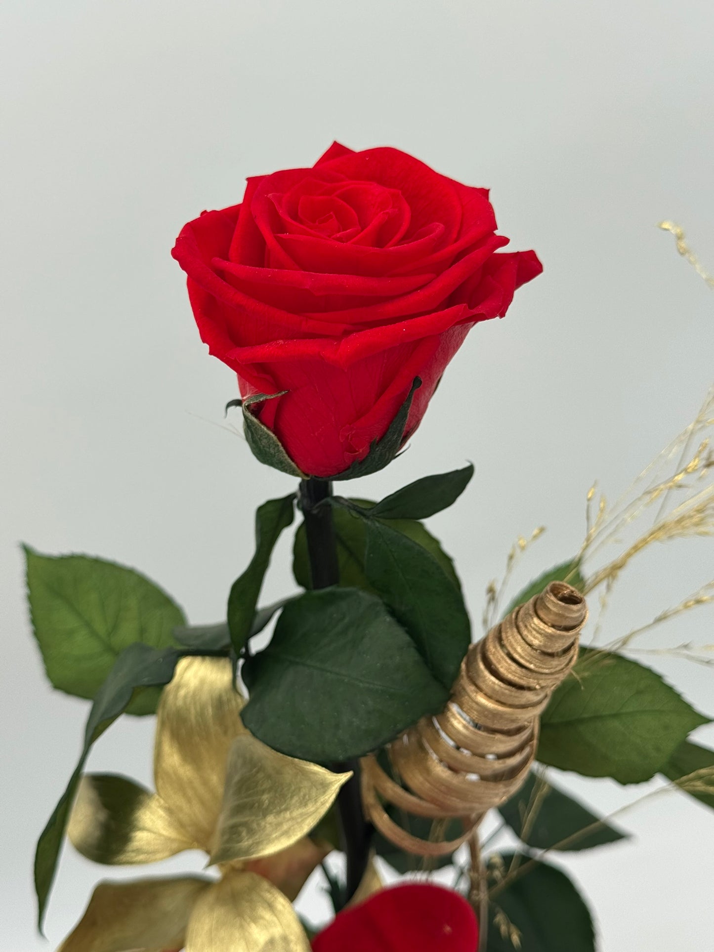 Infinity Rose mit Deko rot gold