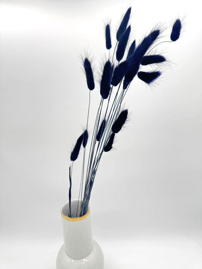 Lagurus dunkelblau marineblau
