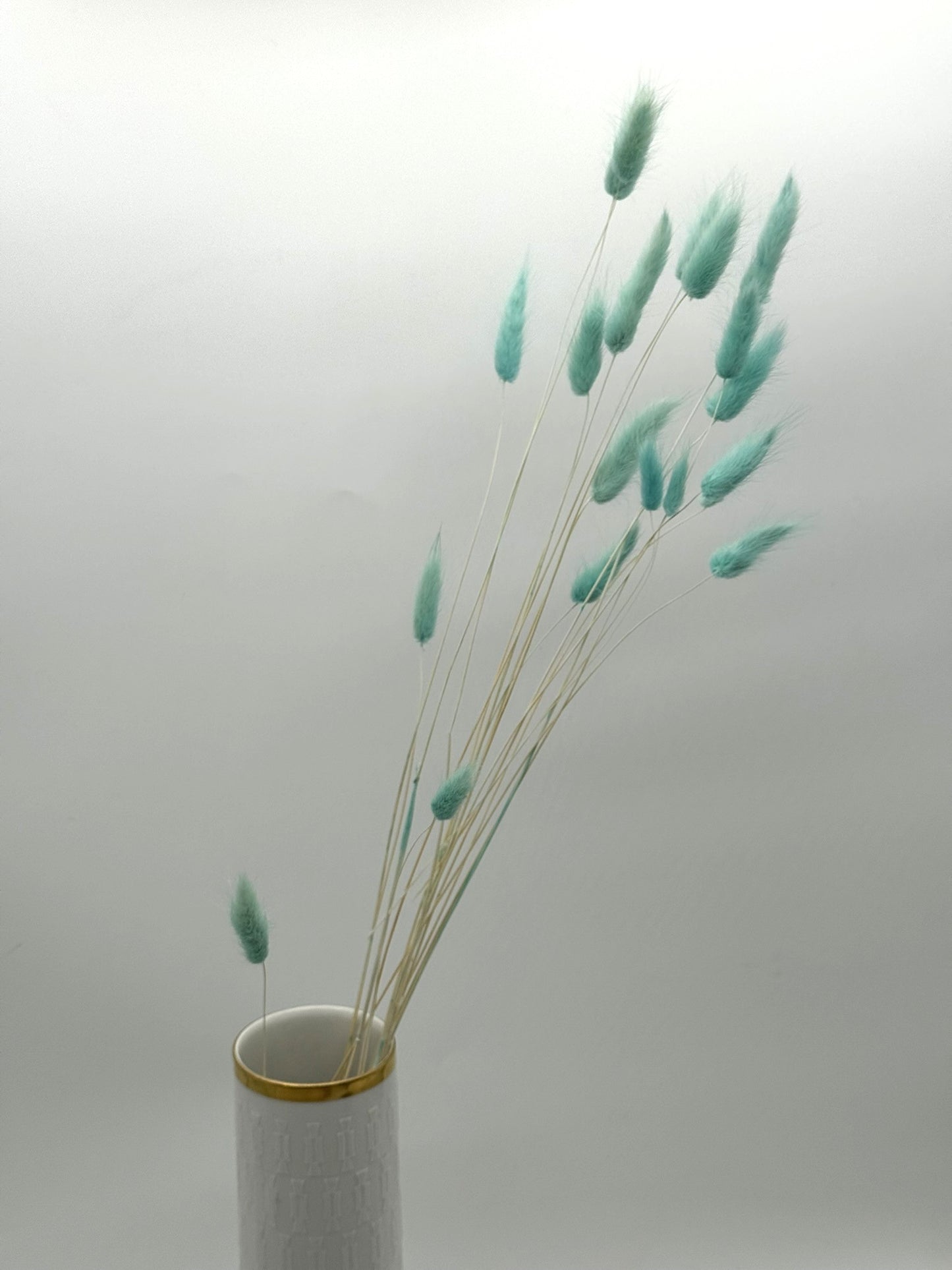 Lagurus mint