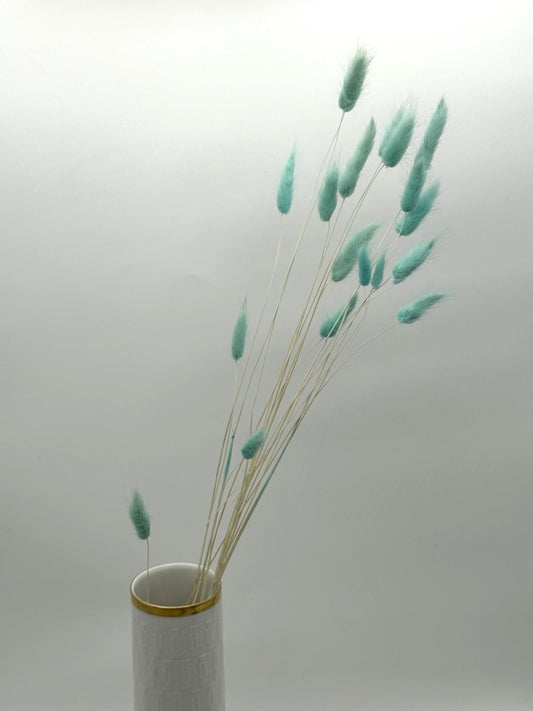Lagurus mint