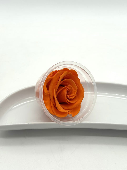 Blüte Infinity Rose orange 1 Stück