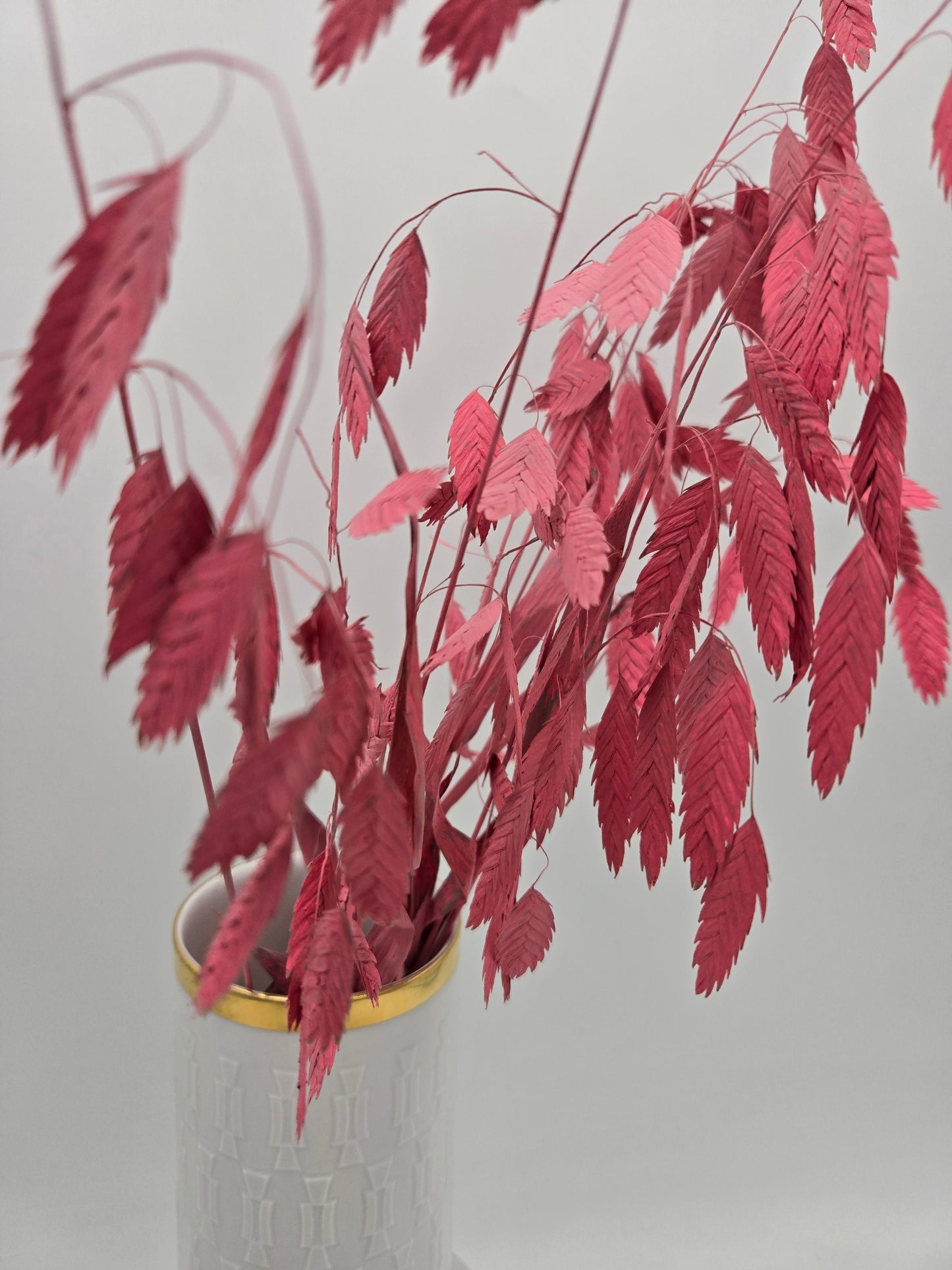 Chasmanthium Plattähren-Gras rosa